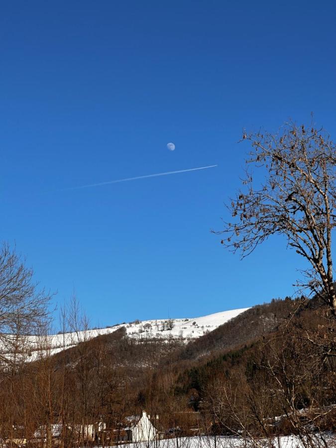 Belle Maison De Ville Au Coeur Du Village De Montagne 塞尔河畔维克 外观 照片