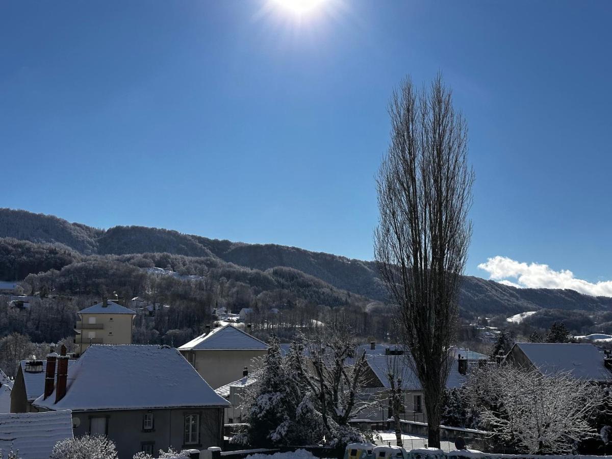 Belle Maison De Ville Au Coeur Du Village De Montagne 塞尔河畔维克 外观 照片